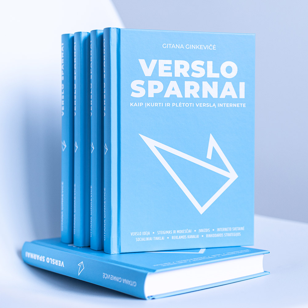 Verslo sparnai. Kaip įkurti ir plėtoti verslą internete